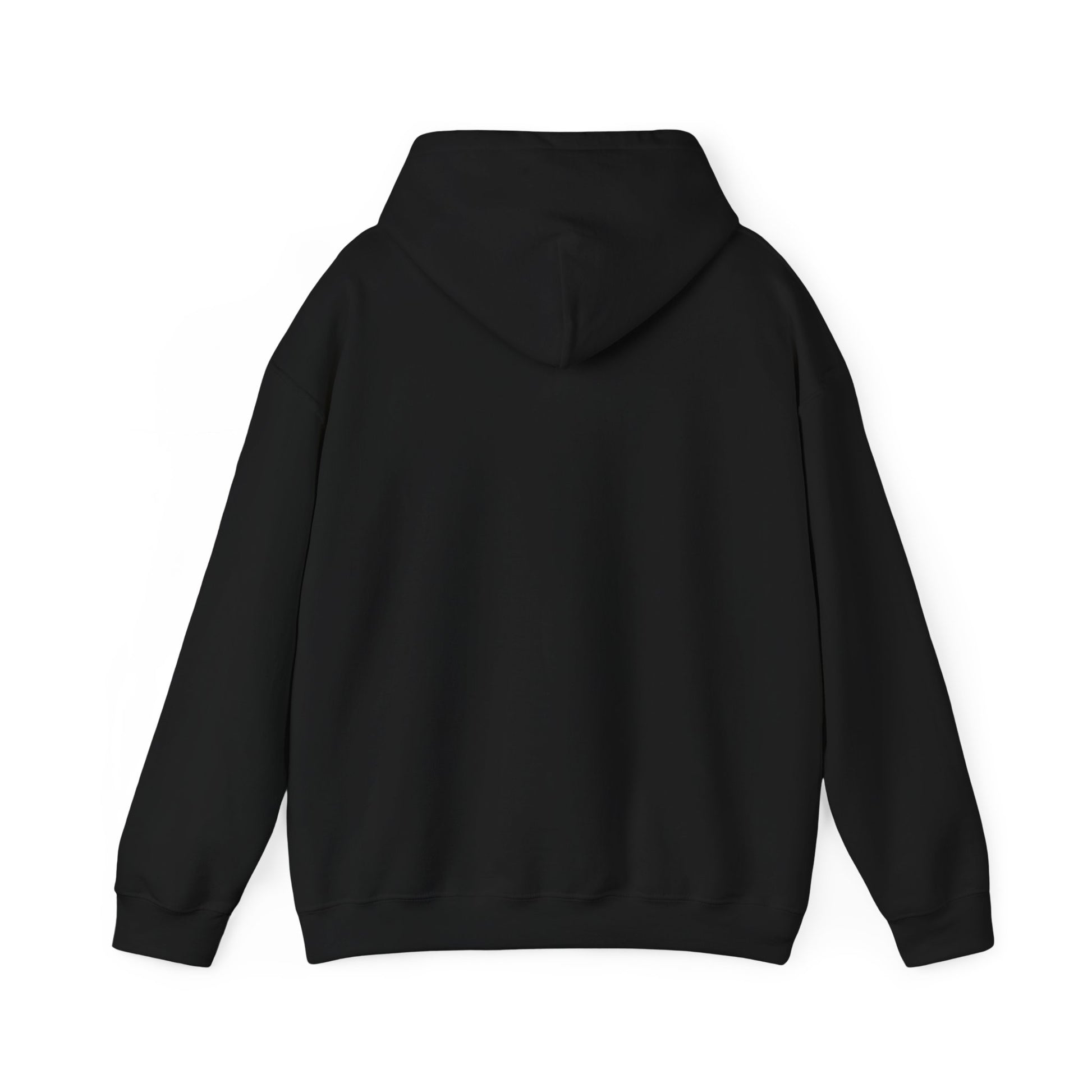 "Introverted, But Willing to Discuss 90's JDM Cars" Hoodie
