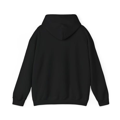 "Introverted, But Willing to Discuss 90's JDM Cars" Hoodie