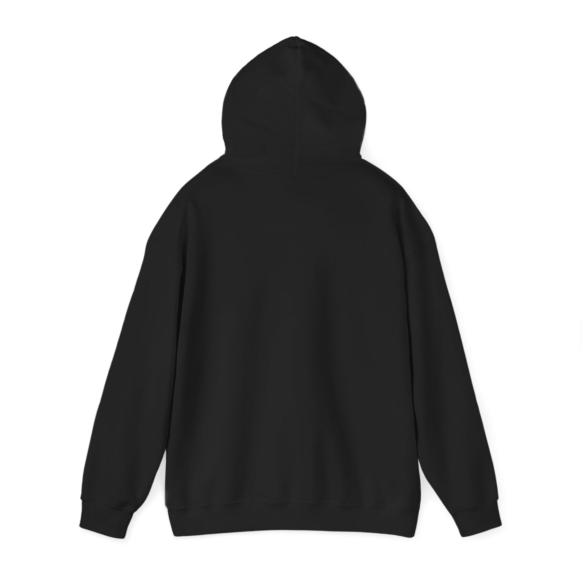 "Introverted, But Willing to Discuss 90's JDM Cars" Hoodie