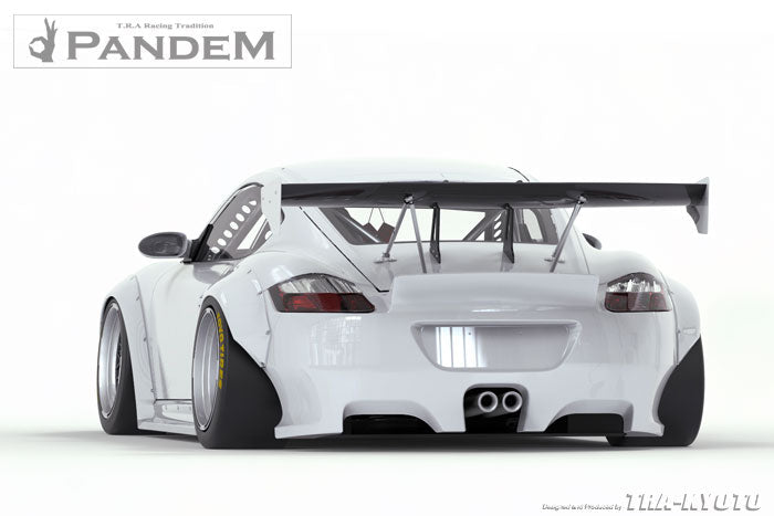 GReddy Pandem RB V2 Side Skirts | 2009-2012 Porsche Cayman (17090524)