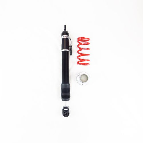 RS-R 2023 Honda Civic Type R (FL5) Best-i Active Coilovers - REWRK Collective